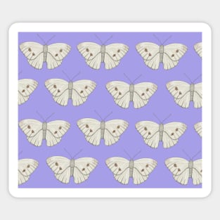 Amazing Cabbage White Butterfly Sticker